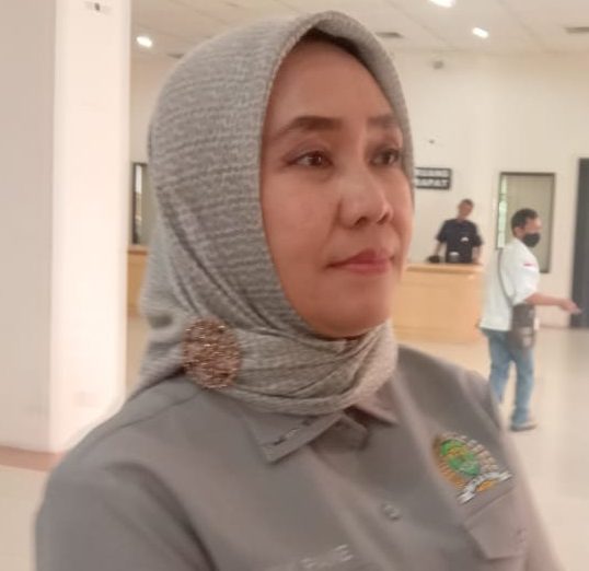 Anggota Pansus Ranperda  Mimi Meriami Br Pane