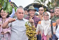 Wakil Ketua DPRD Kaltim Muhammad Samsun turut menghadiri Launching Benih Pisang Hasil Kultur Jaringan BBI TPH, serta Penyerahan SK Penetapan BBI TPH sebagai BLUD sekaligus panen Kelengkeng di Desa Batuah (ist)