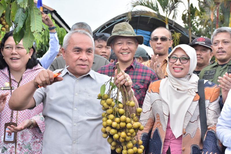 Wakil Ketua DPRD Kaltim Muhammad Samsun turut menghadiri Launching Benih Pisang Hasil Kultur Jaringan BBI TPH, serta Penyerahan SK Penetapan BBI TPH sebagai BLUD sekaligus panen Kelengkeng di Desa Batuah (ist)