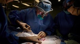 Sumber : cnnindonesia.com