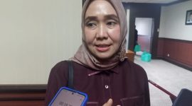 Ketua Pansus Renperda Mimi Meriami Br Pane (ist)