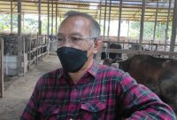 Suasana Saat Muhammad Samsun meninjau kandang sapi di peternakan, Desa Tani Bhakti Kukar, beberapa waktiu lalu[Mediaetam.com/Idham].