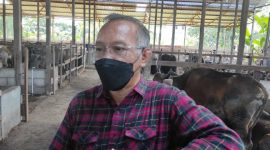 Suasana Saat Muhammad Samsun meninjau kandang sapi di peternakan, Desa Tani Bhakti Kukar, beberapa waktiu lalu[Mediaetam.com/Idham].