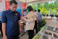 Ketua Komisi II DPRD Kaltim, Nidya Listiyono. [Ist]