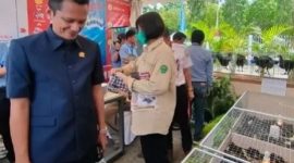 Ketua Komisi II DPRD Kaltim, Nidya Listiyono. [Ist]