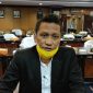 Ketua Komisi II DPRD Kalimantan Timur (Kaltim), Nidya Listiyono.