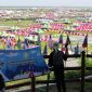 Suasana Jambore Pramuka Dunia di Korea Selatan. (Dok. AP/Choe Young-soo)