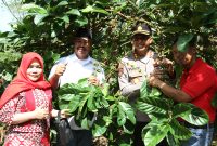 Kopi Luwak dari Desa Perangat Baru, Kukar Dapat Harga Tinggi hingga Rp5 Juta per Kilo (ist)