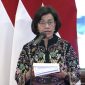 Menteri Keuangan Sri Mulyani (cnbcindonesia.com)

