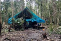Penggrebekan markas KKB dilakukan oleh personel gabungan di Kota Yahukimo setelah terjadi penembakan Pos Brimob Polda Papua BKO Polres Yahukimo. (Dok. Polda Papua)