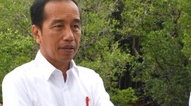 Presiden RI Joko Widodo (news.detik.com)